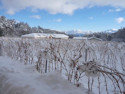 大雪１.jpg