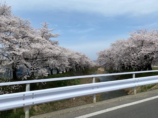 黒沢川.jpg